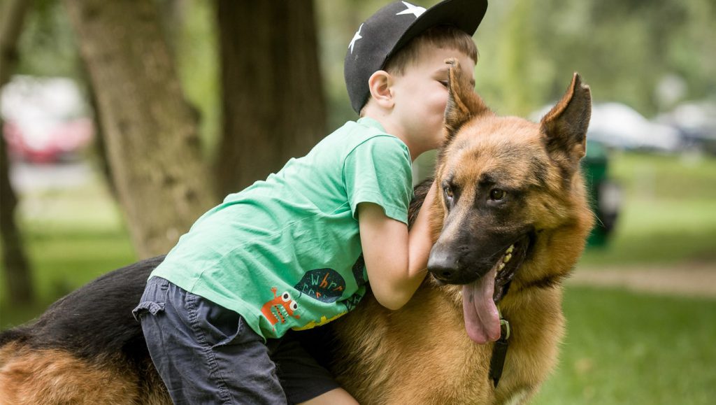 یک کودک پسر در حال بازی کردن با یک سگ نژاد ژرمن در طبیعت