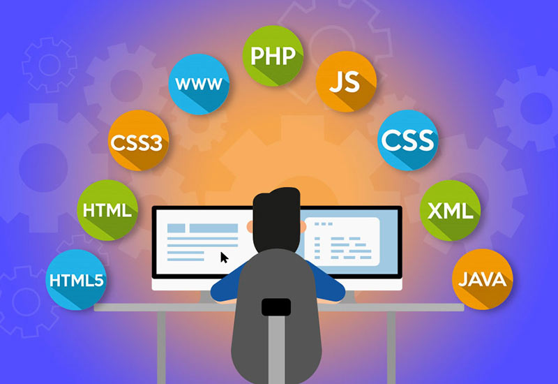 شاخه های طراحی سایت