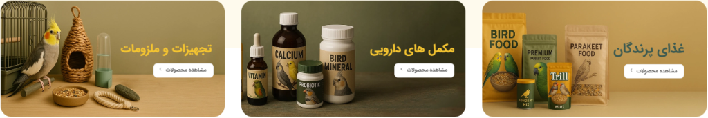 طراحی بنر برای پت شاپ مرغ مینا