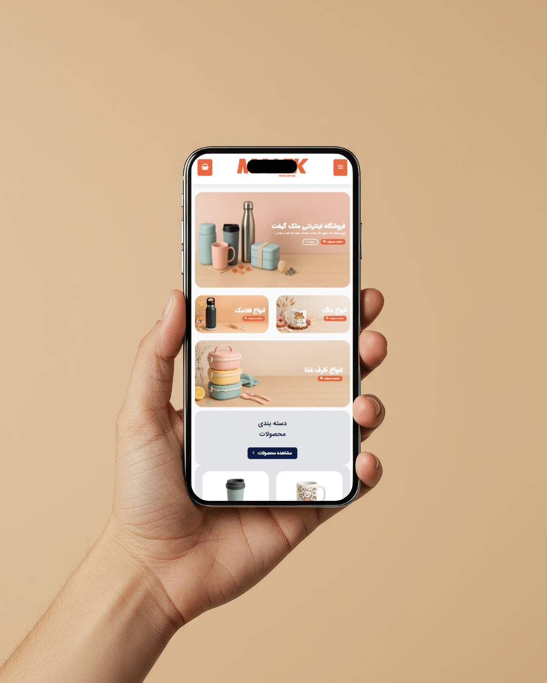 طراحی سایت فانتزی