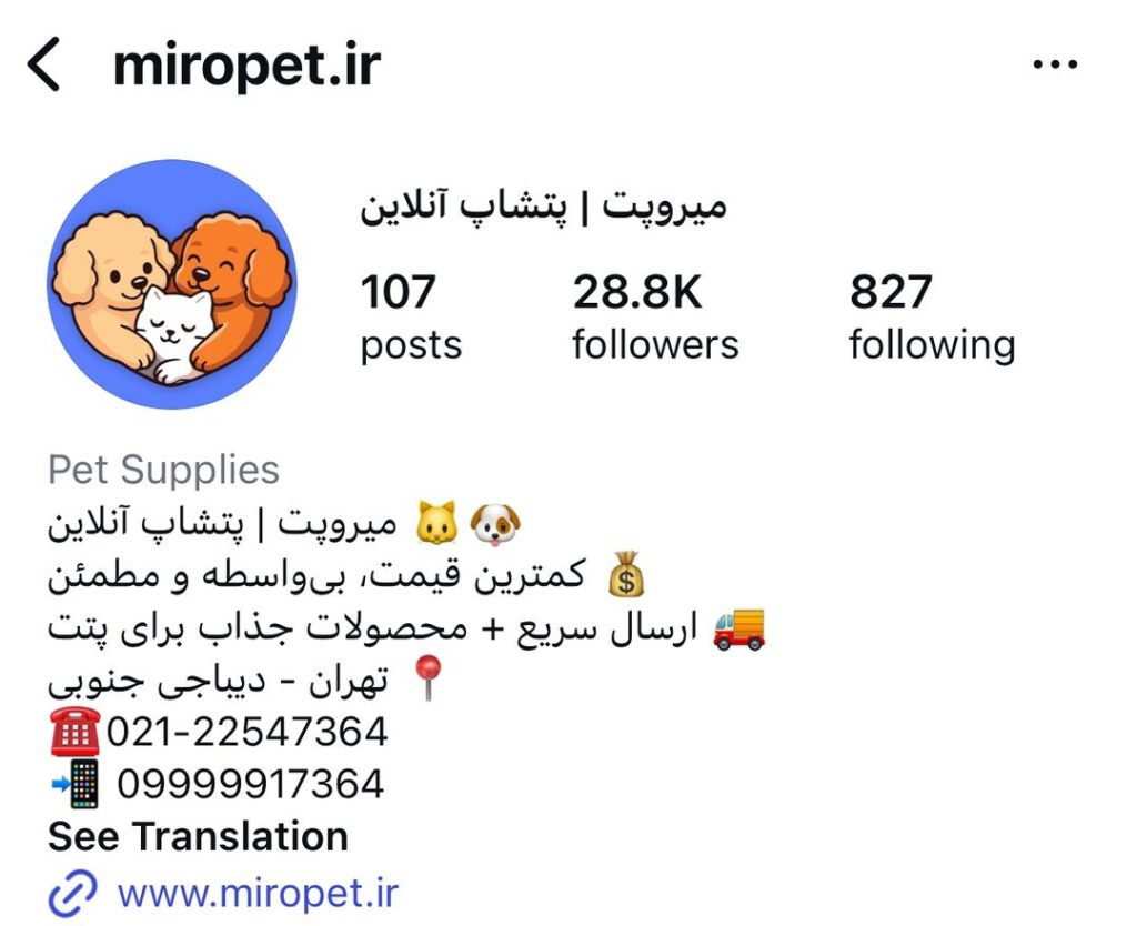 پیج اینستاگرام میرو پت