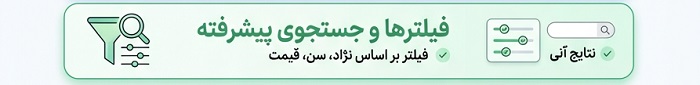 فیلتر و جستجوی پیشرفته